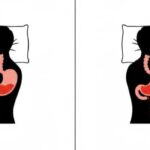 胃の形状と寝る向きの関係を示すイラスト。左向きで寝ることで胃酸が逆流しにくくなる様子